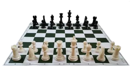 Chess is a game of Indian Origin